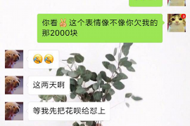 措勤如何避免债务纠纷？专业追讨公司教您应对之策